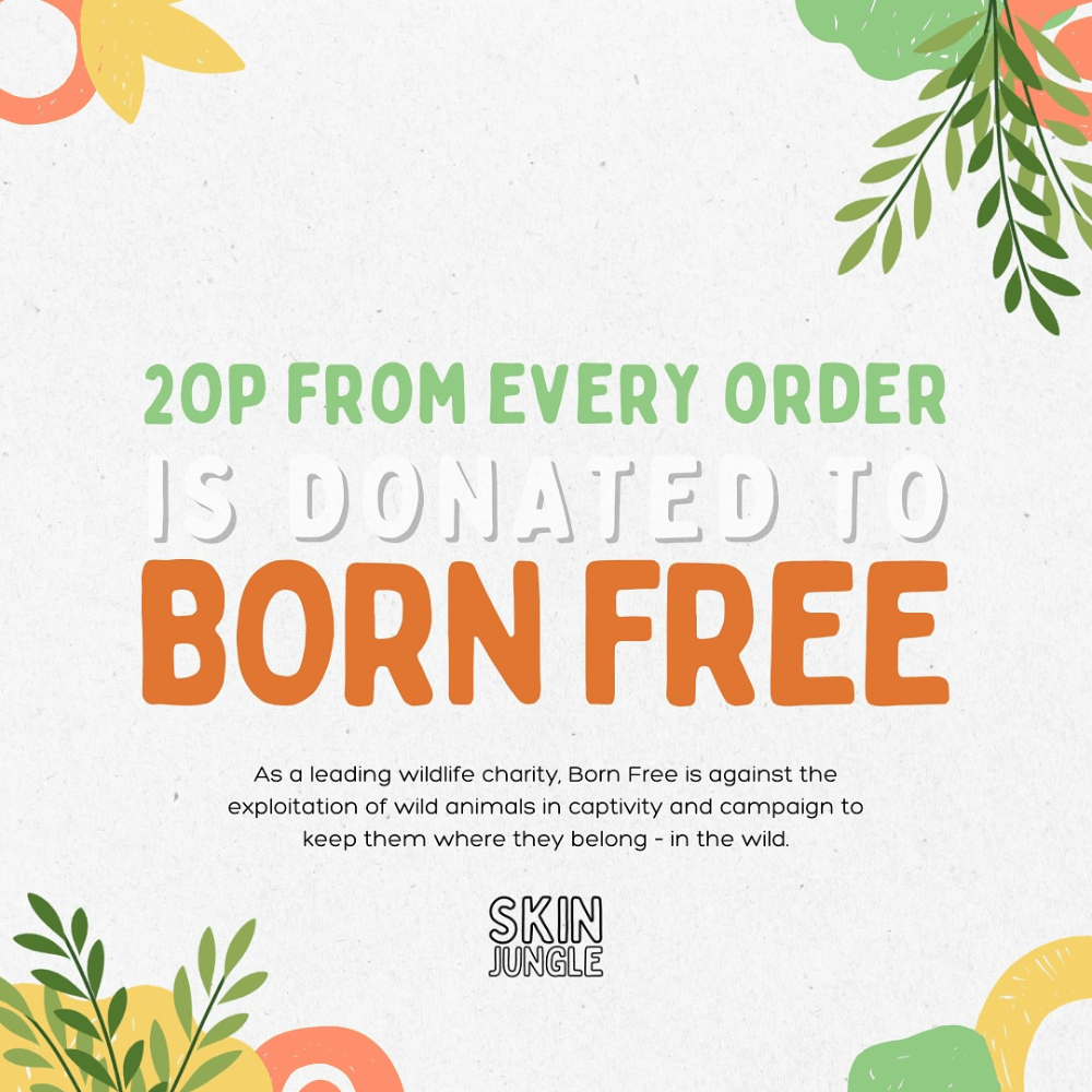 Skin Jungle Tattoo Care Balm - The Bat