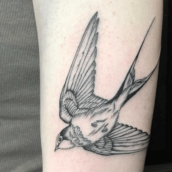 Interview with Amandine Canata - Sponsored Artist of the Month