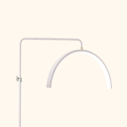 Atlas Shadowless Half Moon Studio Floor Lamp