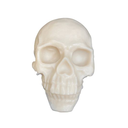 ReelSkin Tattoo Practice Skin Skull