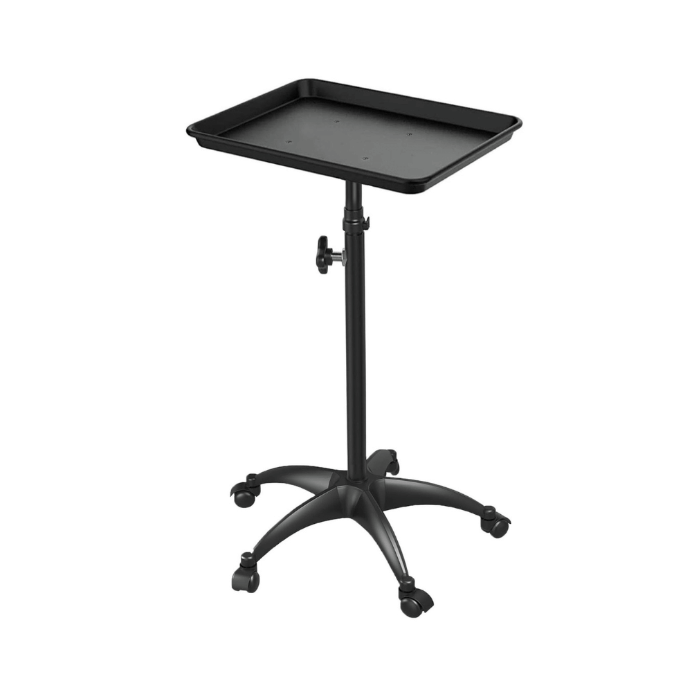 Wheeled Rolling Artist Storage Tray