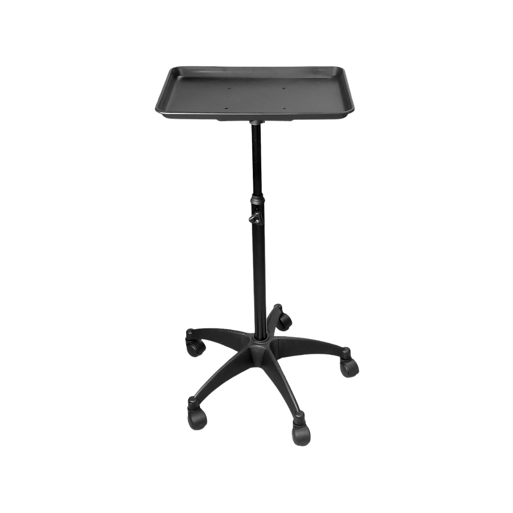 Wheeled Rolling Artist Storage Tray